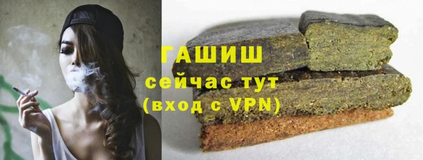 прущие грибы Алзамай