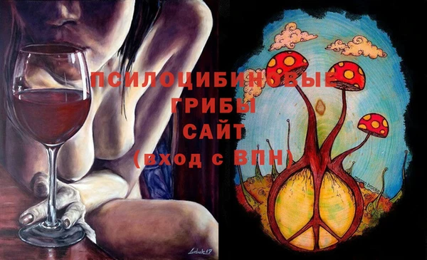 прущие грибы Алзамай