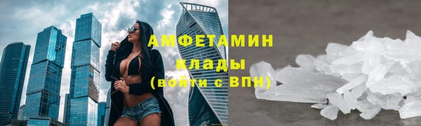 мет Алексин