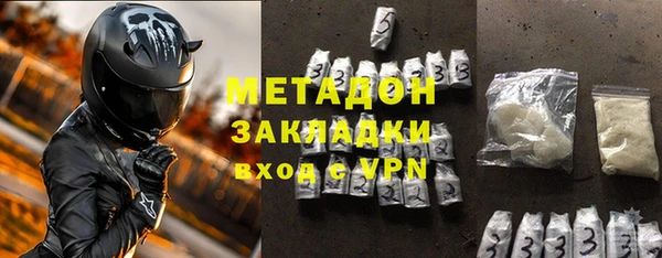 прущие грибы Алзамай