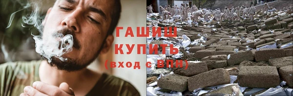 мет Алексин